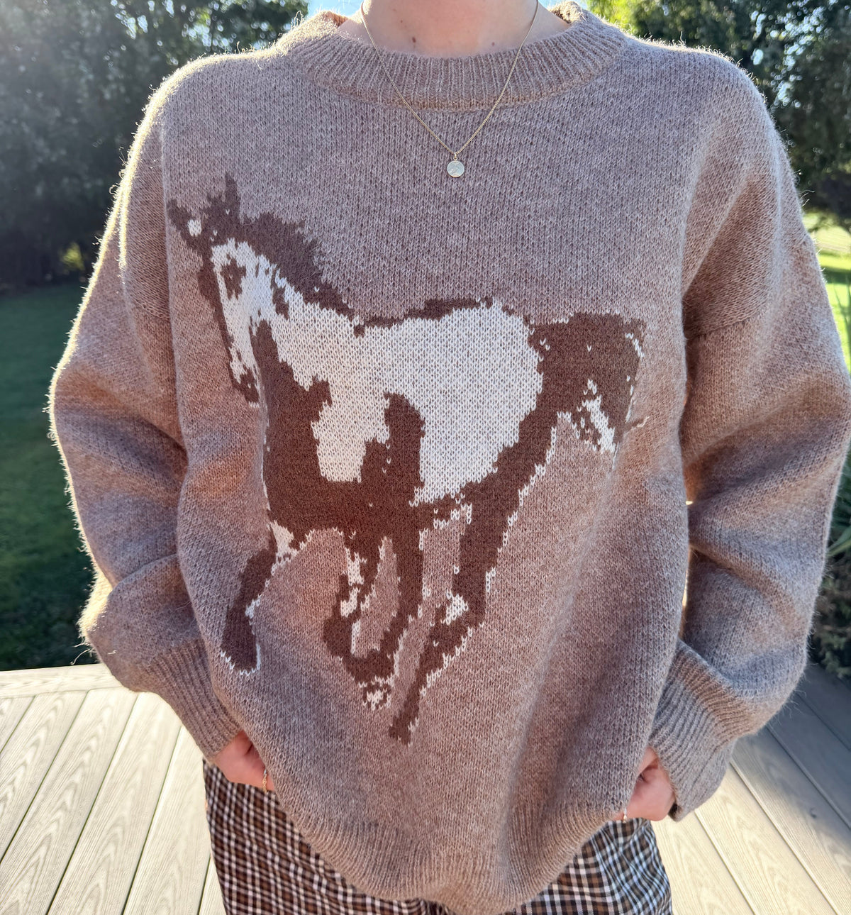 Horse Sweater