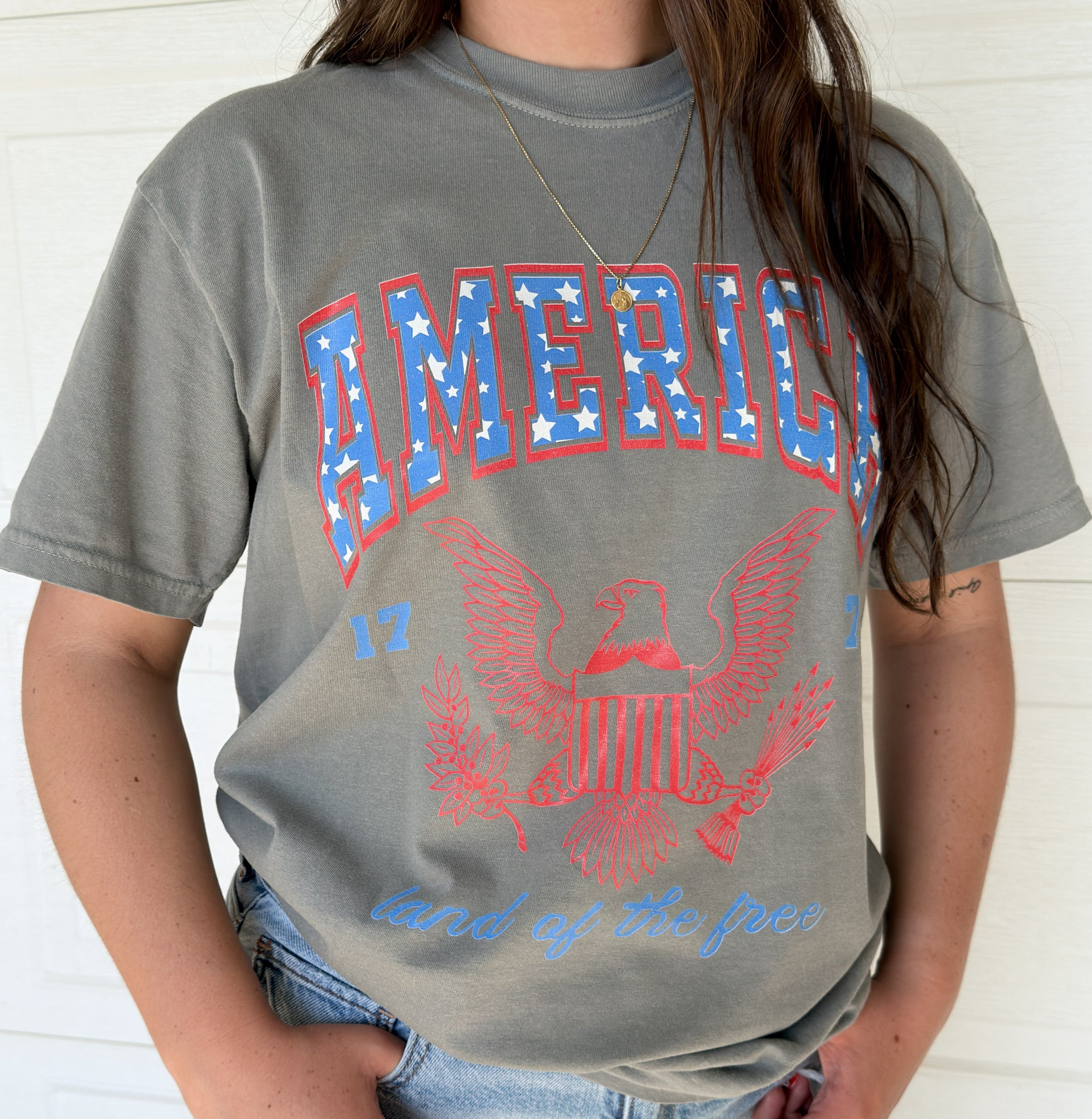 America Land Of The Free Gray Graphic Tee